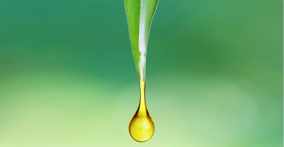 CBD 
      Oil Gel Capsules Oakland Park Columbus 
      GA